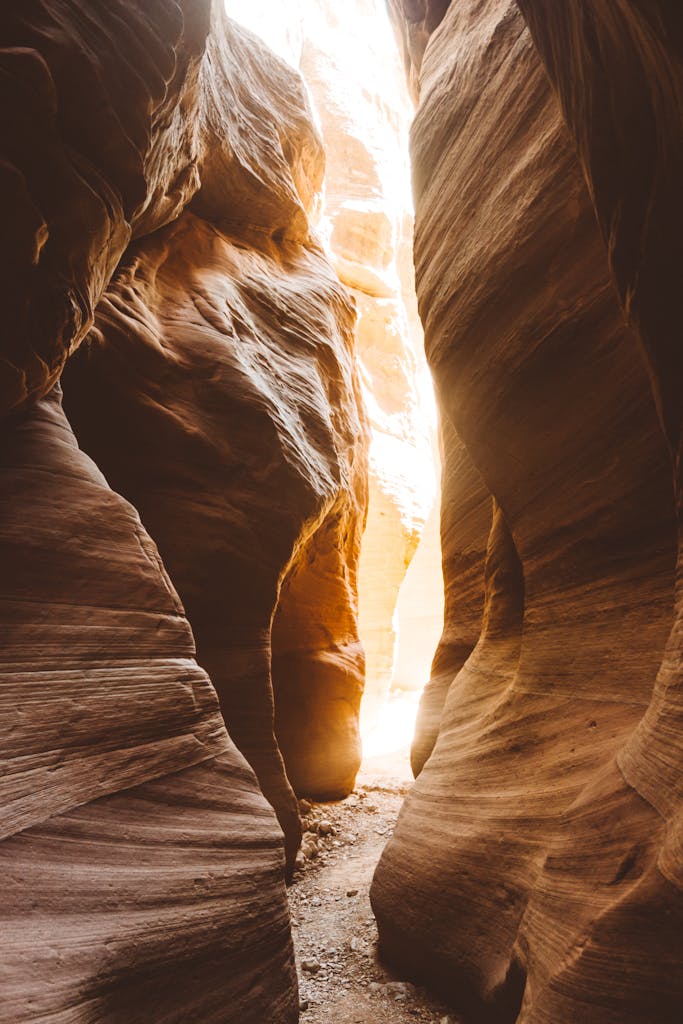 Idyllic scene of sunlight streaming through a slot canyon with smooth rock formations.
